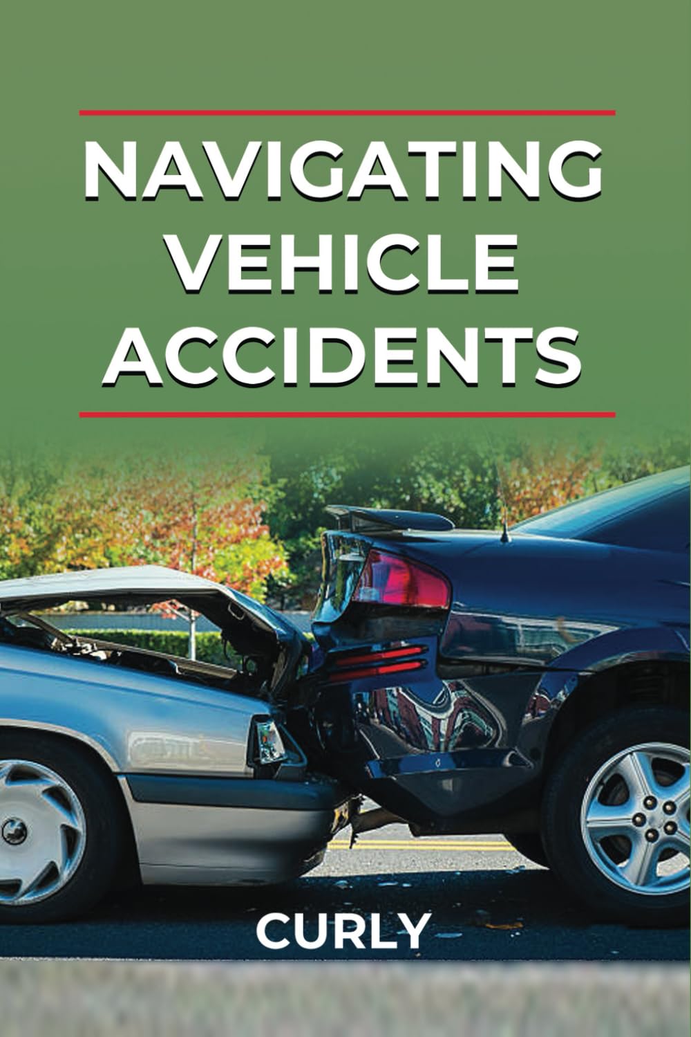 Cover of the book Navigating Vehicle Accidents